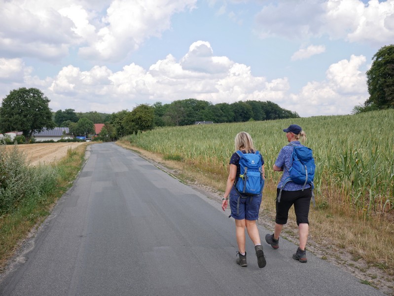 Das Bild zeigt zwei Wanderer auf einem asphaltierten Abschnitt der Strecke auf de,m TERRA.track Hollager Berg.