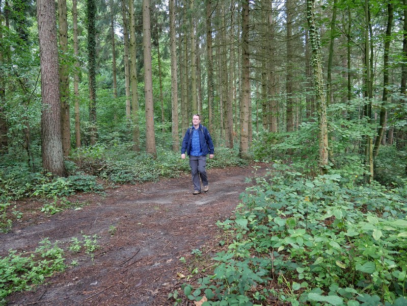 Das Bild zeigt den Wandervogel auf dem DiVa Walk im Waldstück bei Schloss Neu Barenaue.