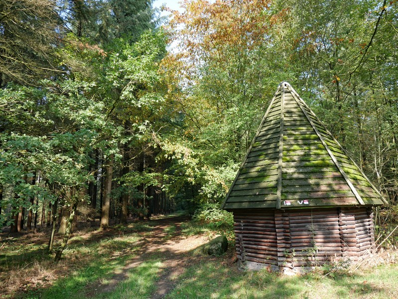 Die kleine Köhlerhütte beherbergt auch die Markierung für unseren TERRA.track Wildstein.