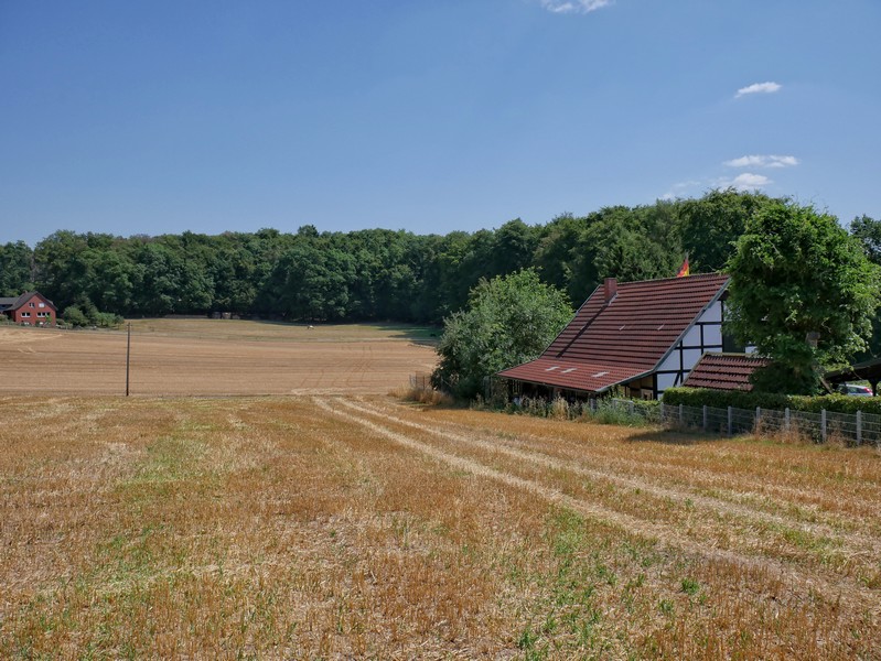 Weite Felder, sanfte Hügel - so sieht es dann auf dem zweiten Abschnitt der Tour auf dem TERRA.track Nettetal aus.
