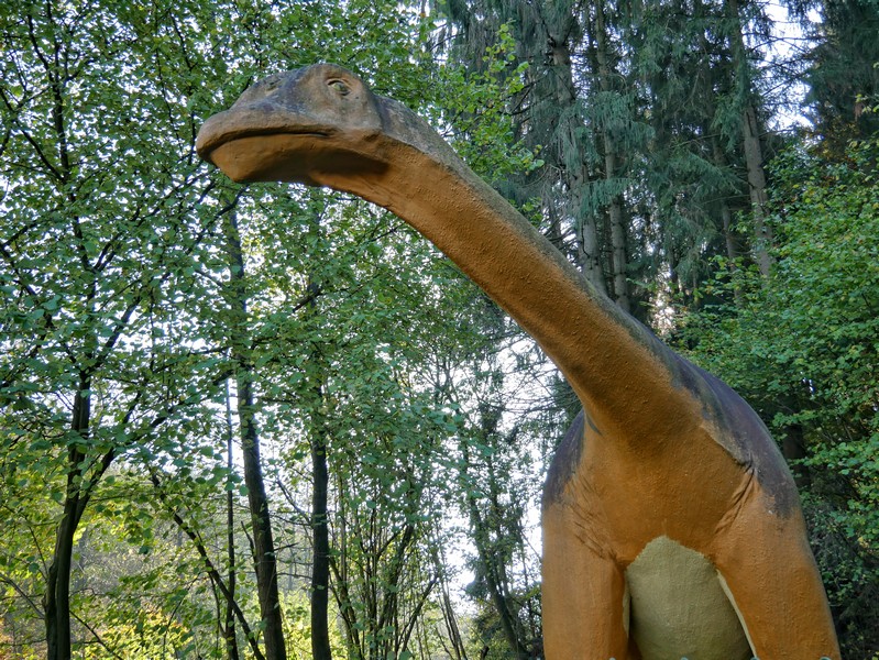 Die Abzweigung zu den Dinospuren bewacht dieses mächtige Exemplar.