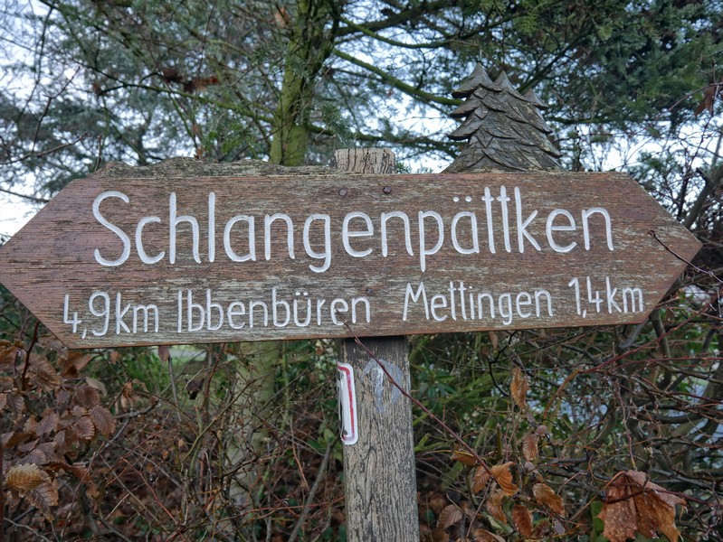 Das Schlangenpättken führt von Mettingen nach Ibbenbüren und lässt sich gut mit dem Drei-Täler-Weg, der dann zurück führt, verbinden.