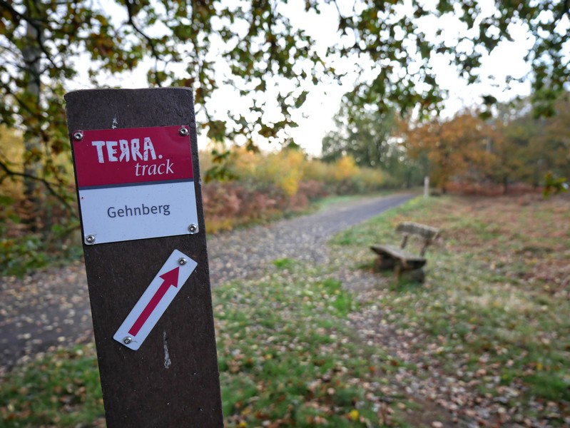 Natürlich geleiten uns auch auf diesem Weg die rotweißen Schilder sicher auf den 5,4 km des TERRA.track Gehnberg.