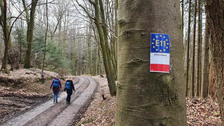 Mühlensteig und Wittekindsweg bei Oberbauerschaft - Wanderlogbuch