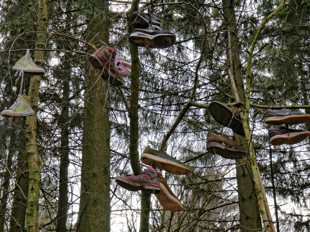 Warum hier Schuhe im Baum hängen, erklärt eine weitere Infotafel...