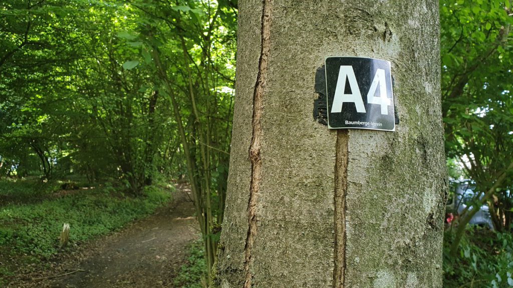 Der A4 ist heute unser treuer Begleiter auf unserer Wanderung durch die Baumberge rund um den Longinusturm.
